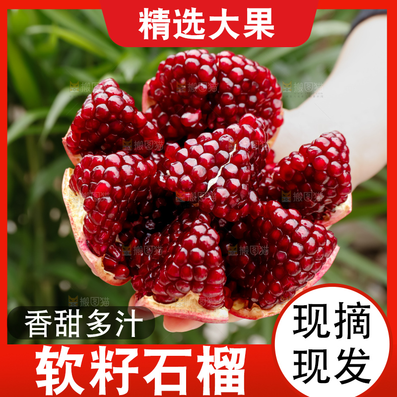 软籽石榴