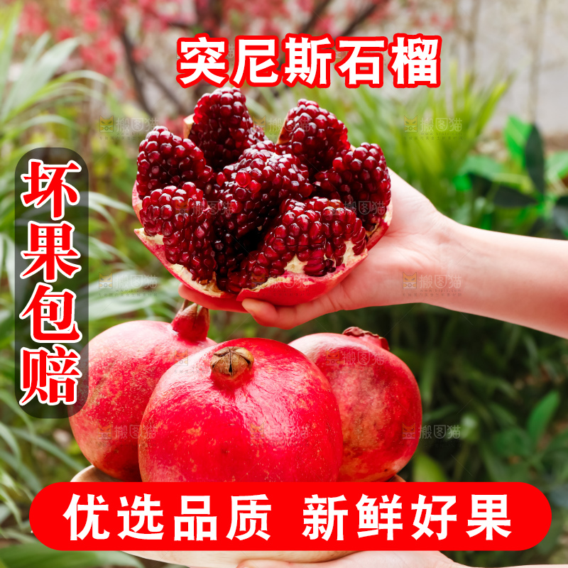 软籽石榴