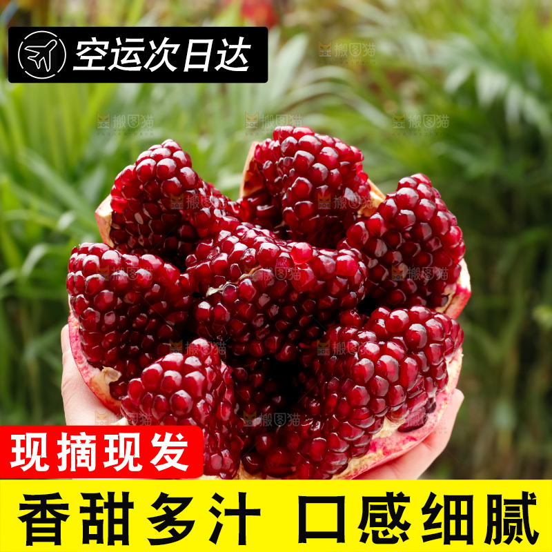 软籽石榴