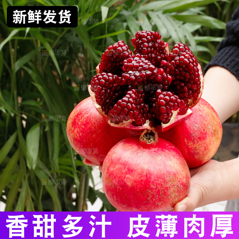 软籽石榴