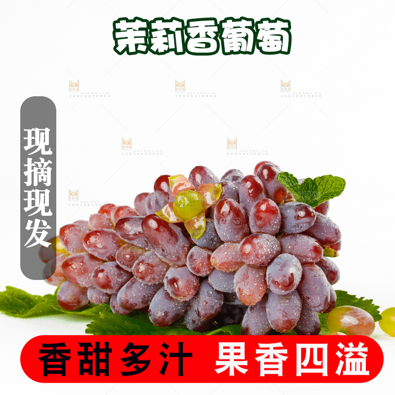 茉莉香葡萄