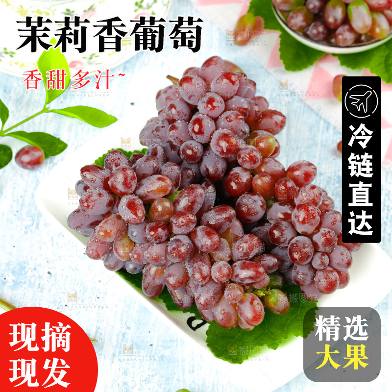 茉莉香葡萄