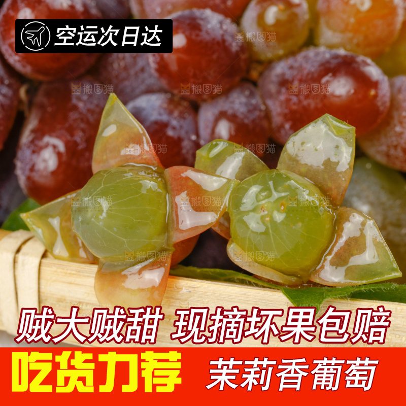 茉莉香葡萄