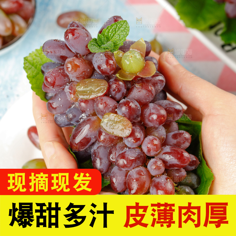 茉莉香葡萄