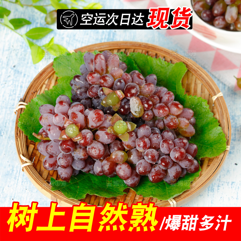 茉莉香葡萄