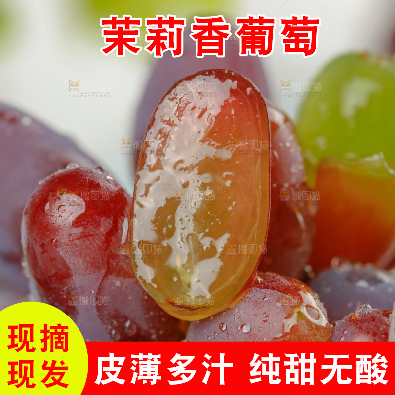 茉莉香葡萄