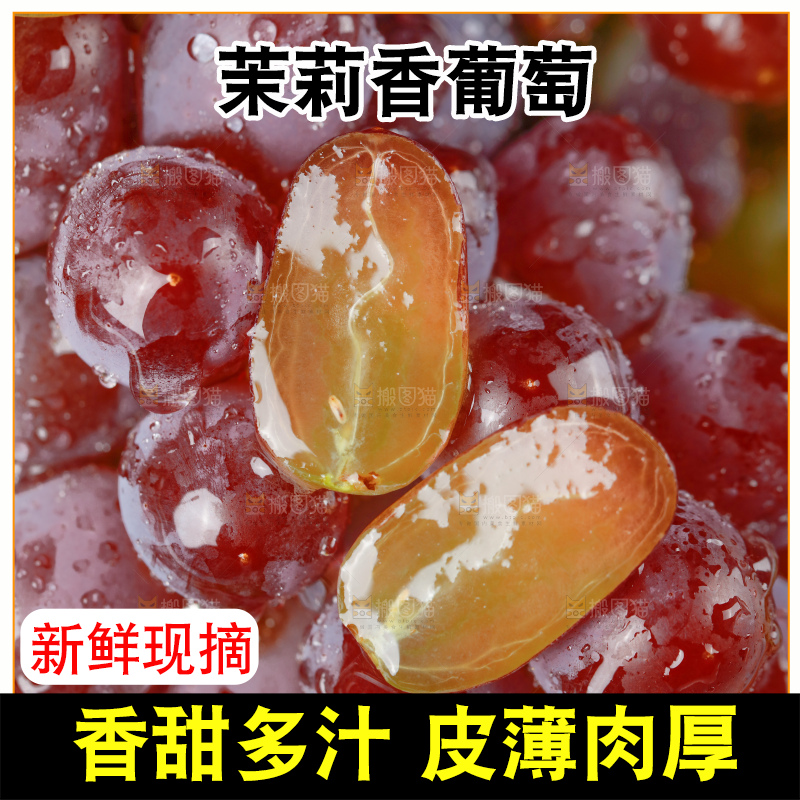 茉莉香葡萄