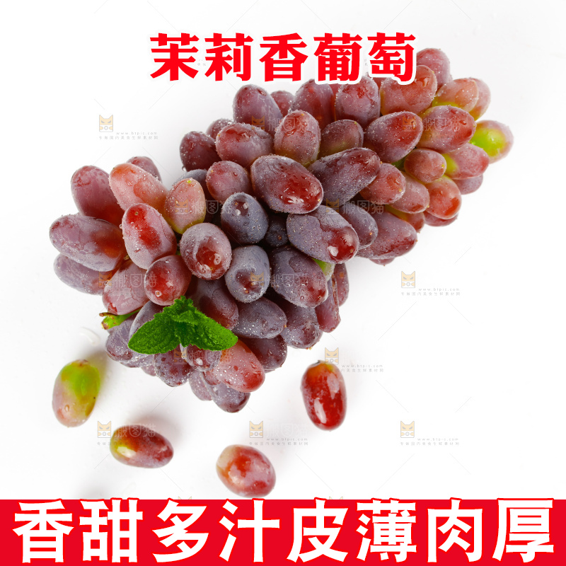 茉莉香葡萄