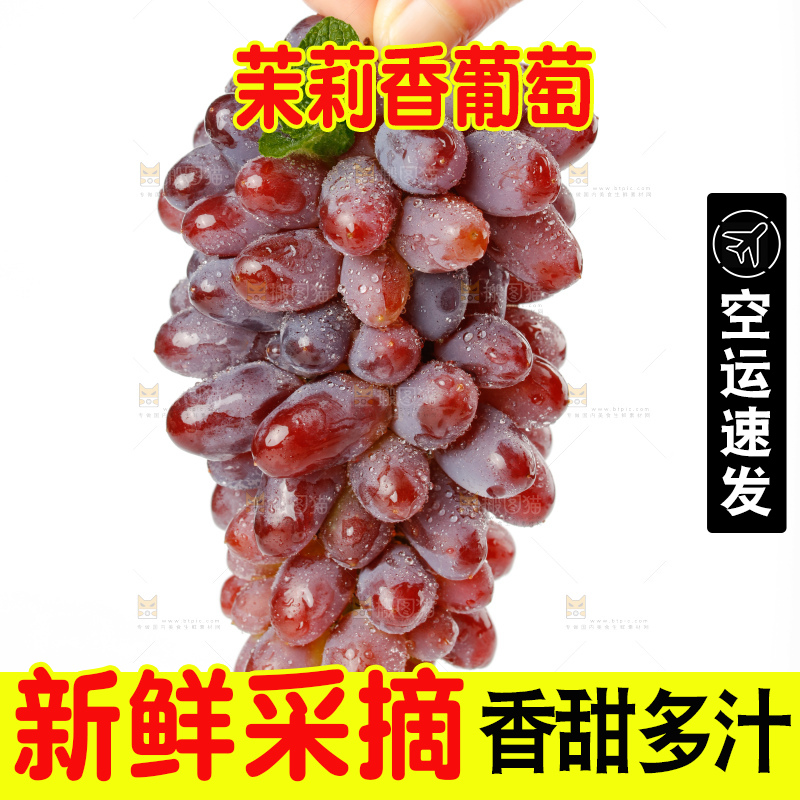 茉莉香葡萄
