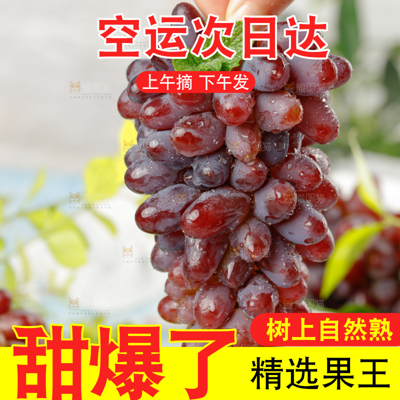茉莉香葡萄
