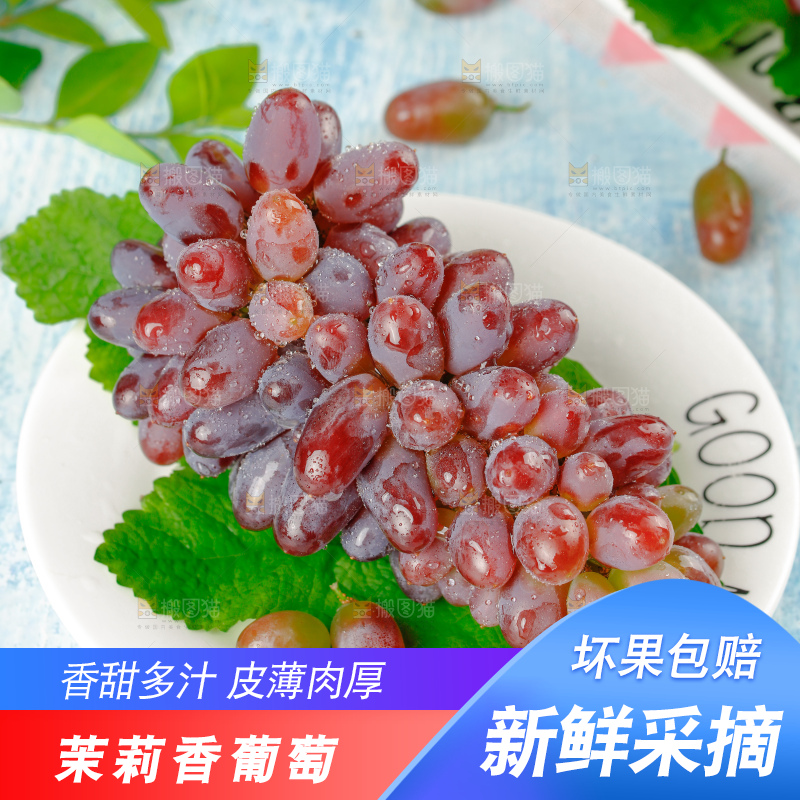 茉莉香葡萄