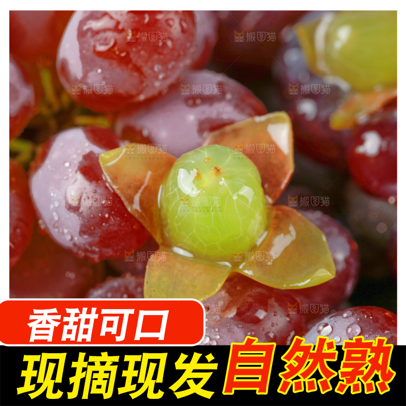 茉莉香葡萄