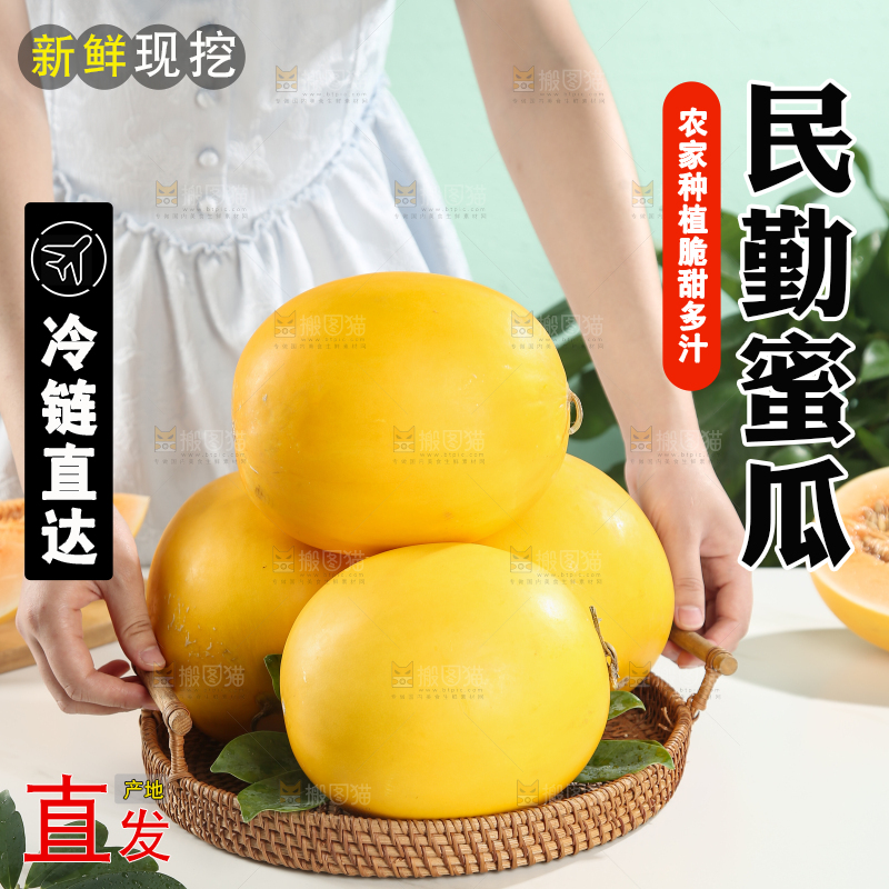 民勤蜜瓜