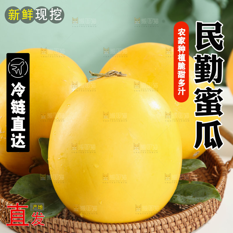 民勤蜜瓜