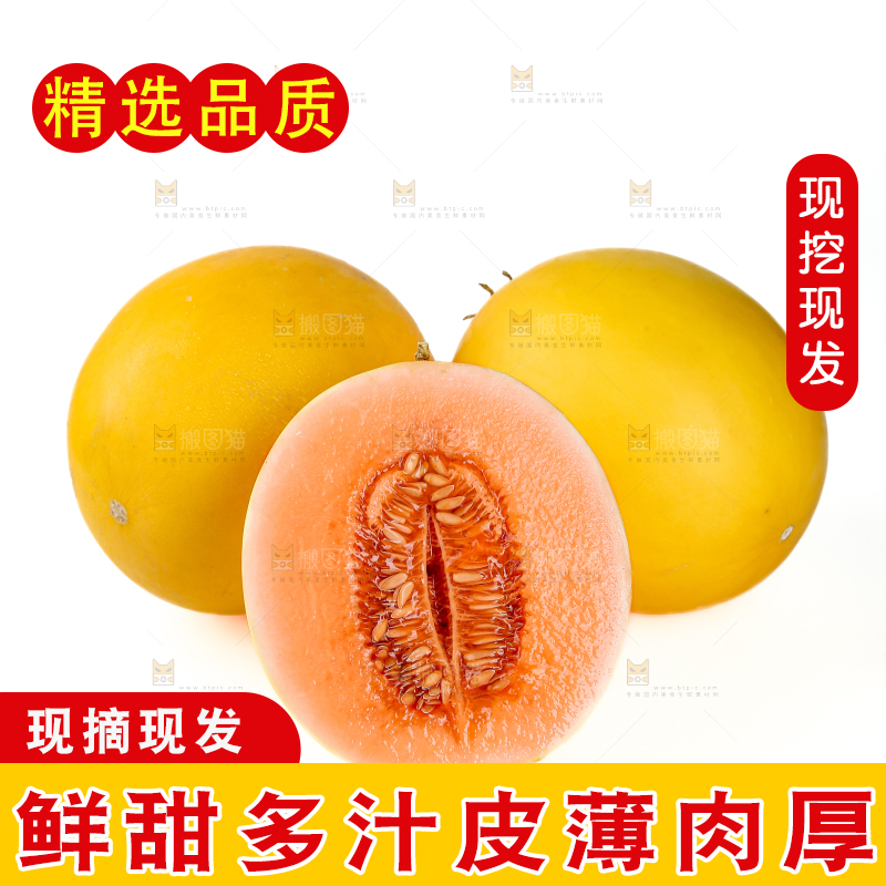 民勤蜜瓜