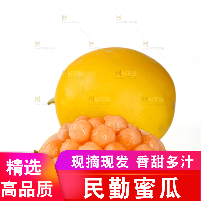 民勤蜜瓜