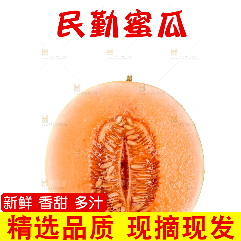 民勤蜜瓜
