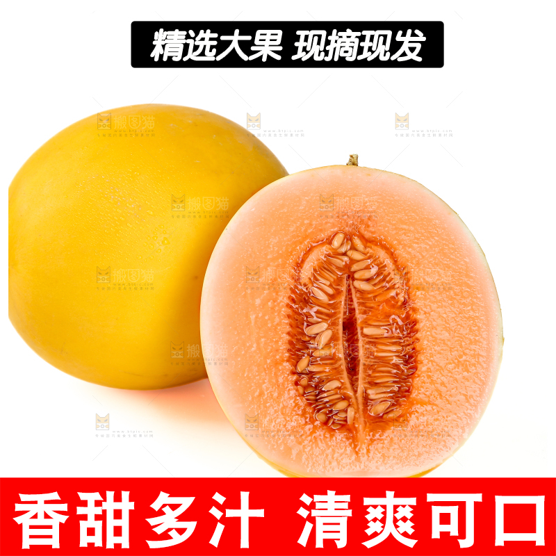 民勤蜜瓜