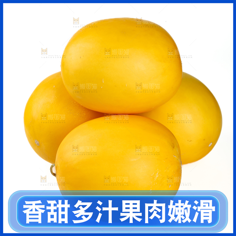 民勤蜜瓜