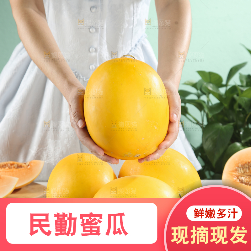 民勤蜜瓜