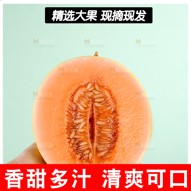 民勤蜜瓜