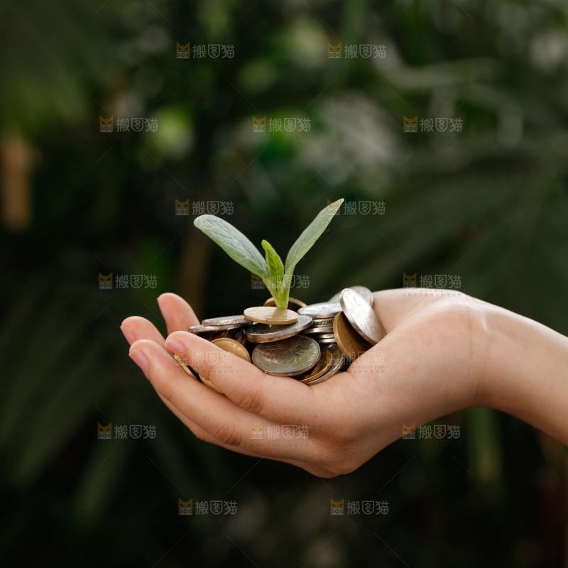 理财 金融 金币储值