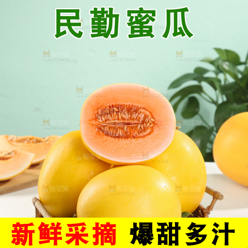民勤蜜瓜