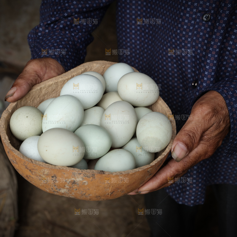 绿壳土鸡蛋