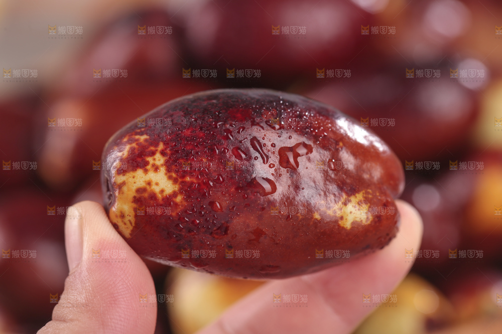 灵武长枣