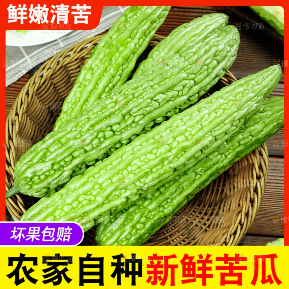 苦瓜主图