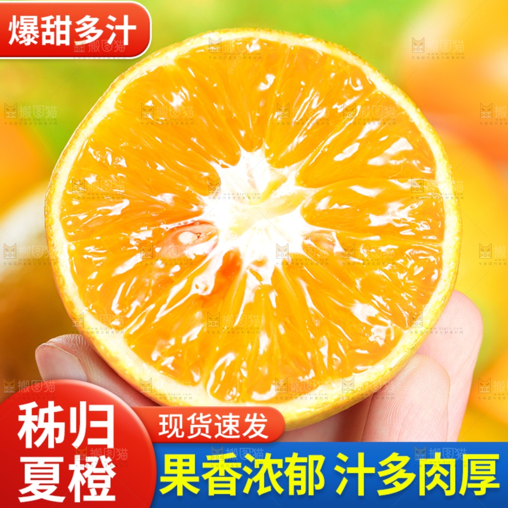 夏橙主图