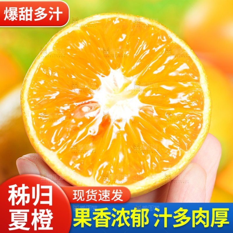 夏橙主图