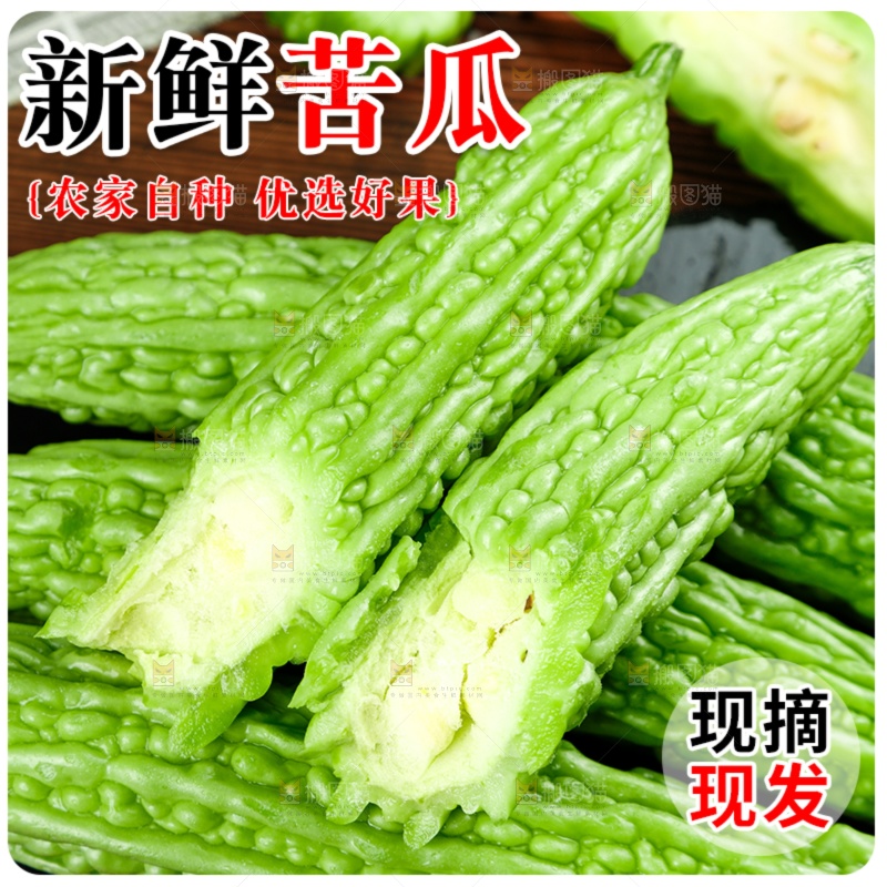 苦瓜主图
