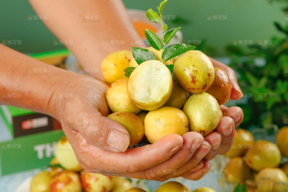 大荔冬枣