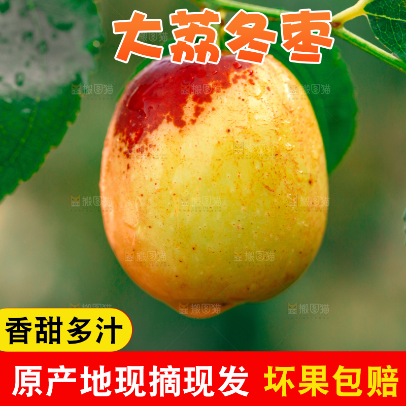 大荔冬枣