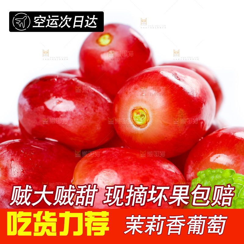 茉莉香葡萄