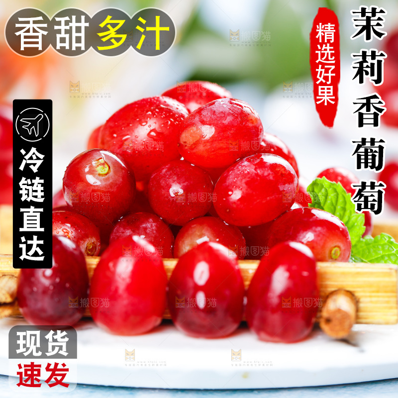 茉莉香葡萄