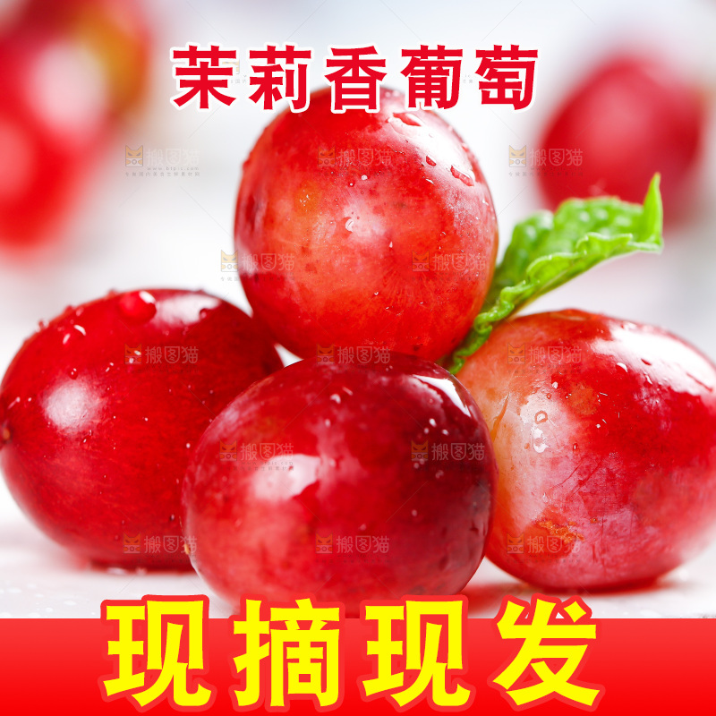 茉莉香葡萄