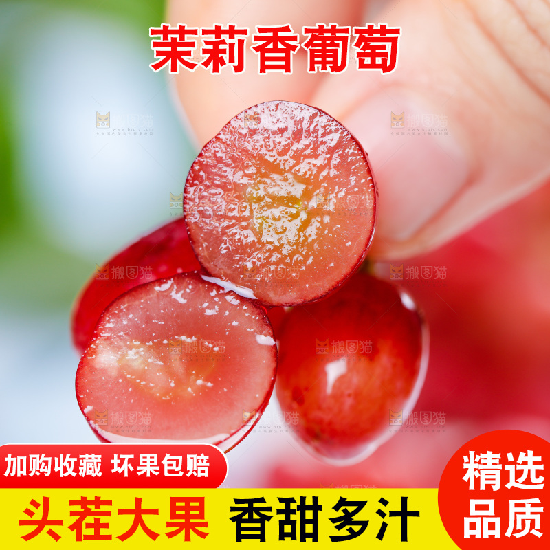 茉莉香葡萄