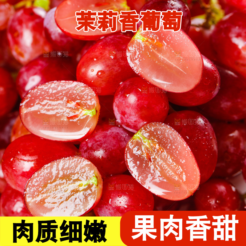 茉莉香葡萄