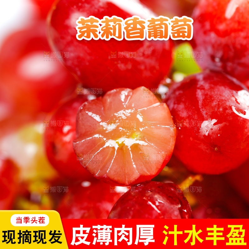 茉莉香葡萄