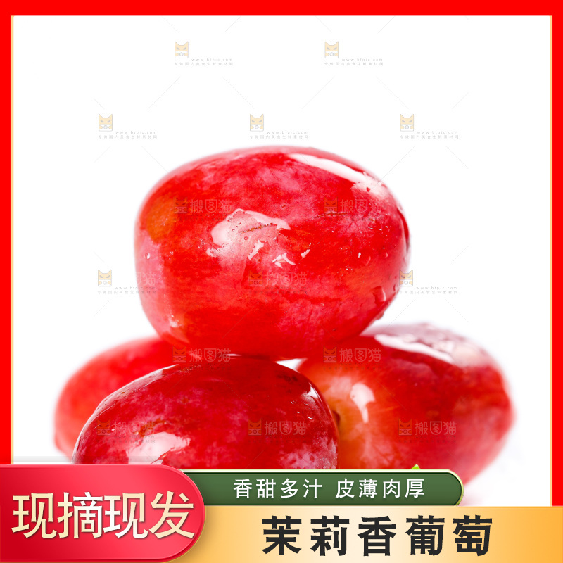 茉莉香葡萄