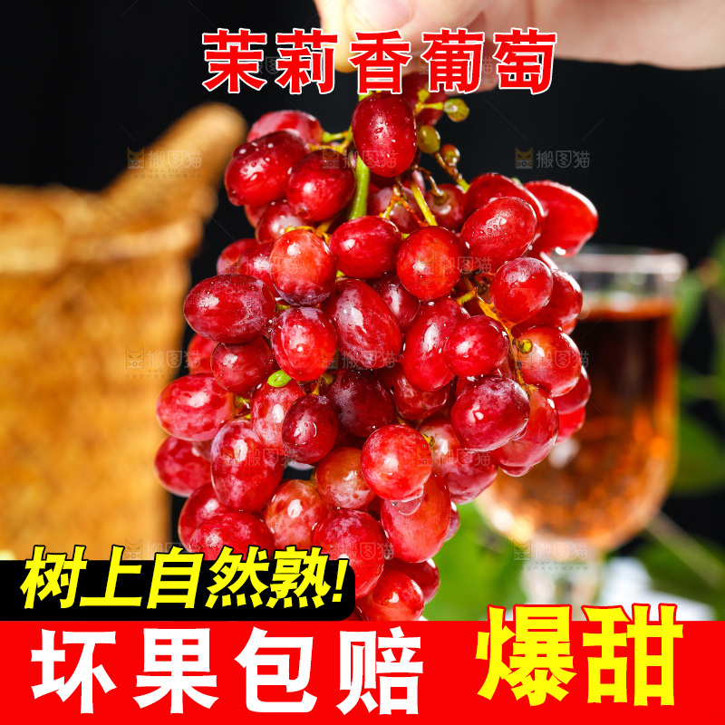 茉莉香葡萄