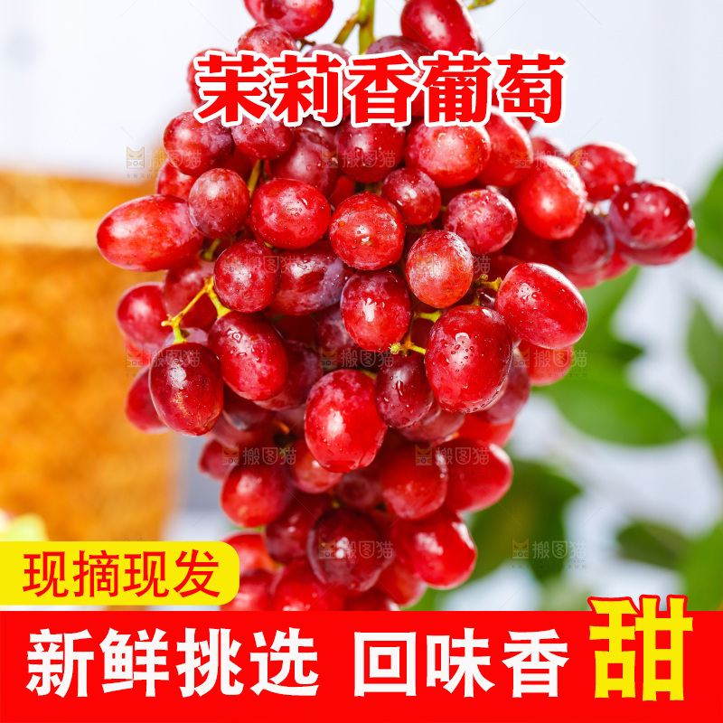 茉莉香葡萄