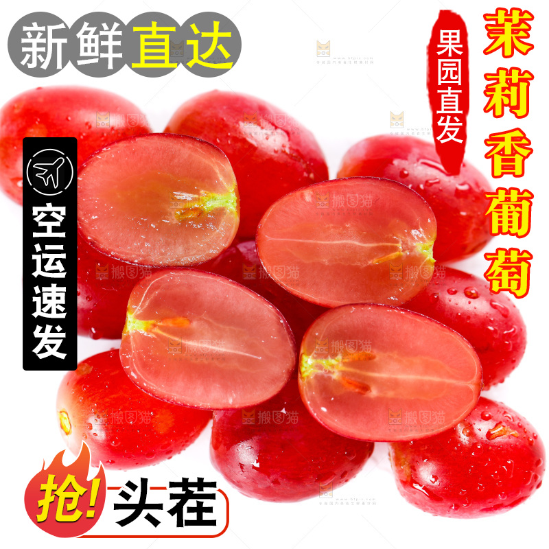 茉莉香葡萄