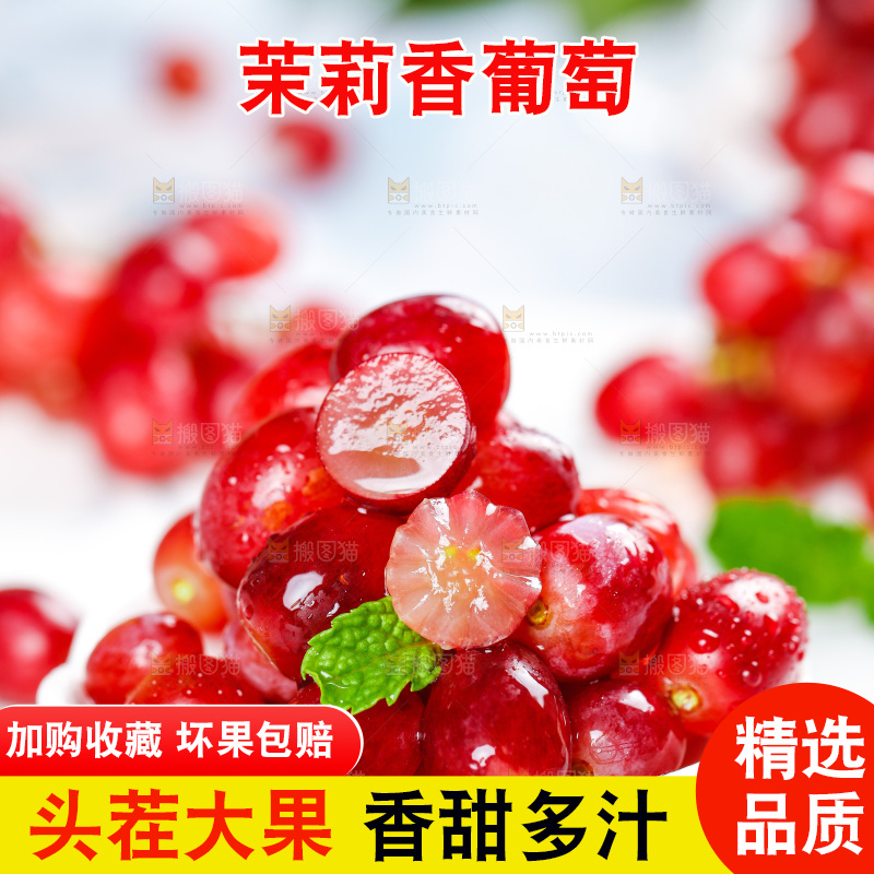 茉莉香葡萄