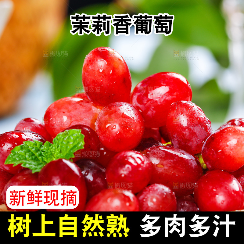 茉莉香葡萄