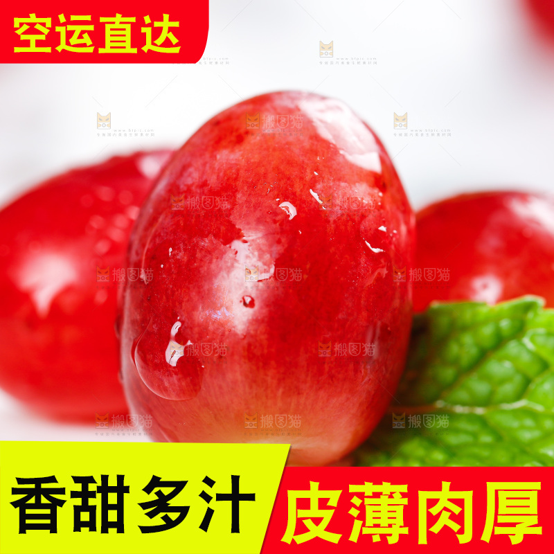 茉莉香葡萄