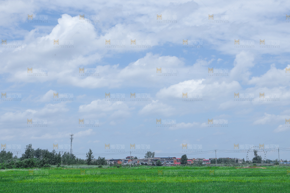 蓝天稻田