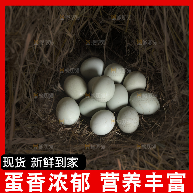 土鸡蛋